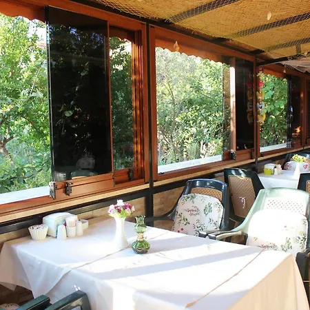 Szálloda Sahil Yildizi