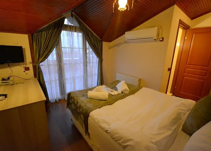 Sahil Yildizi * Ağva