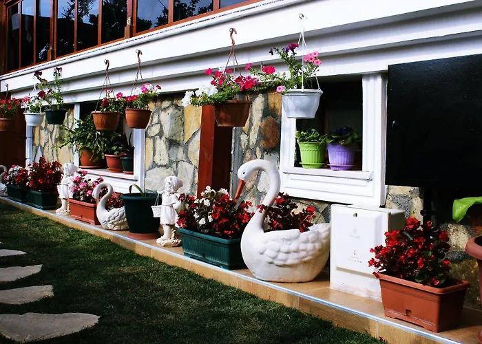 Sahil Yildizi Hotell *