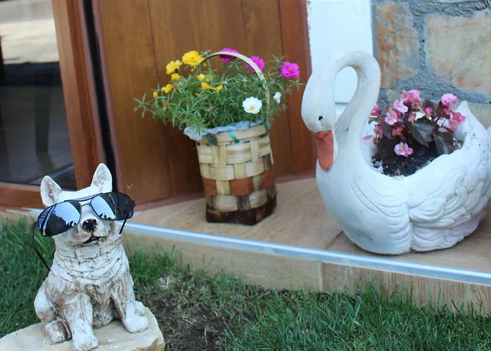 Sahil Yildizi Hotell Ağva