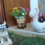Sahil Yildizi Hotel Ağva