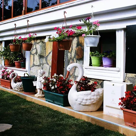 Sahil Yildizi Ξενοδοχείο *