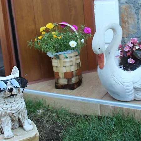 Sahil Yildizi Ξενοδοχείο Agva (Marmara)